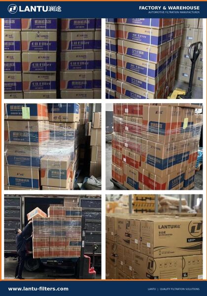 Hebei Lantu Technology Co., Ltd. 工場生産ライン